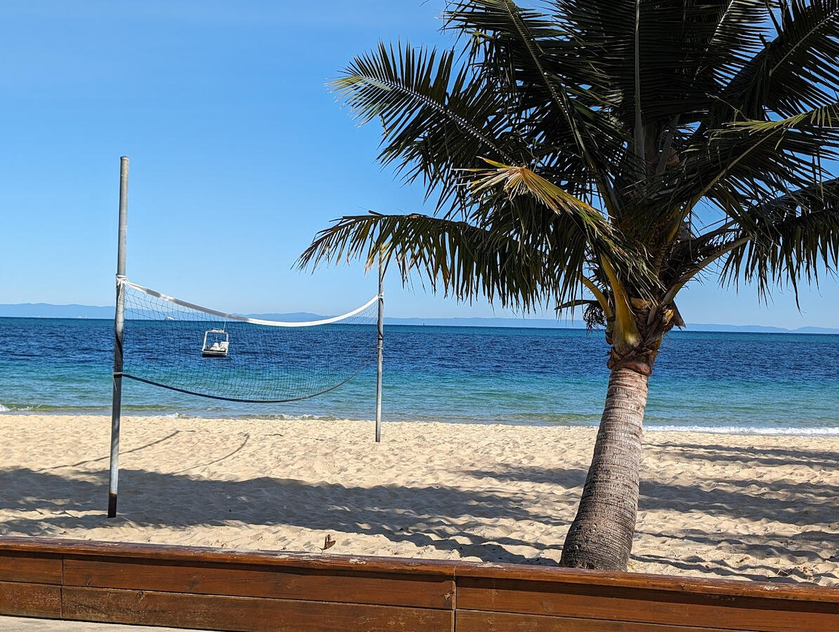 Volley Ball Volley Ball